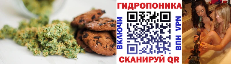 Купить где  Кадников  Canna-Cookies марихуана 