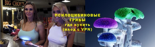 МДПВ Горнозаводск
