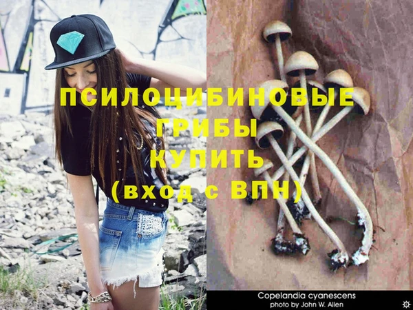 прущая мука Гусиноозёрск