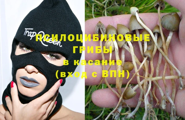 прущая мука Гусиноозёрск