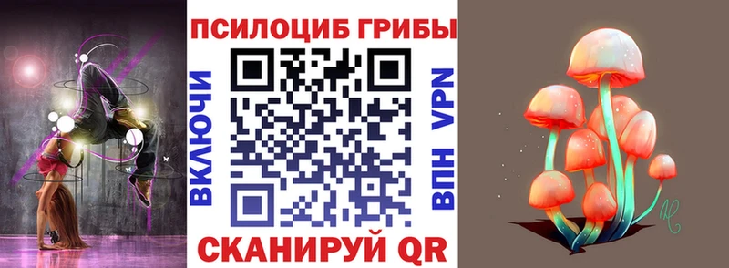 Купить  Кадников  Галлюциногенные грибы ЛСД 